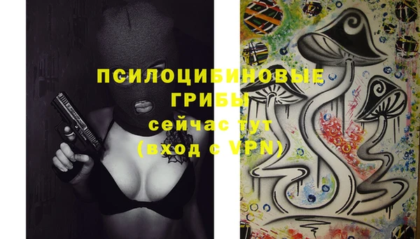 MDMA Богородск