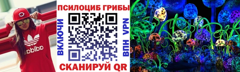 Купить где  Надым  Галлюциногенные грибы MAGIC MUSHROOMS 